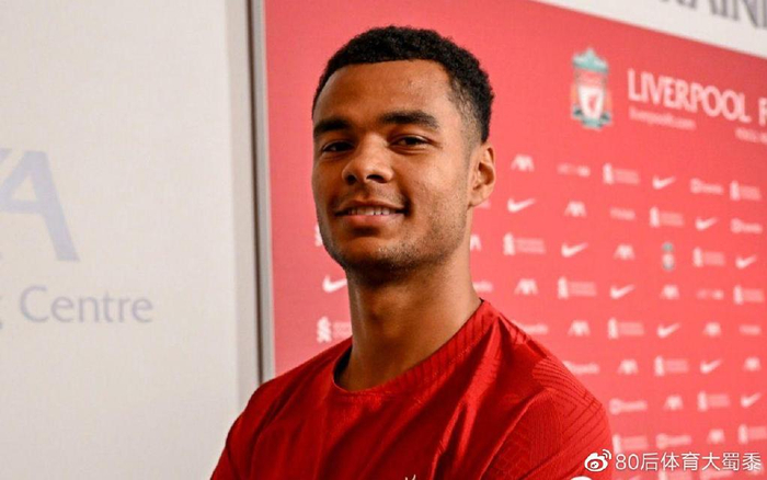 原版数据 原版数据